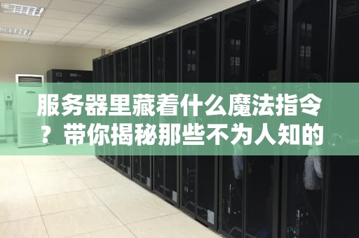 服务器里藏着什么魔法指令？带你揭秘那些不为人知的后台黑话！