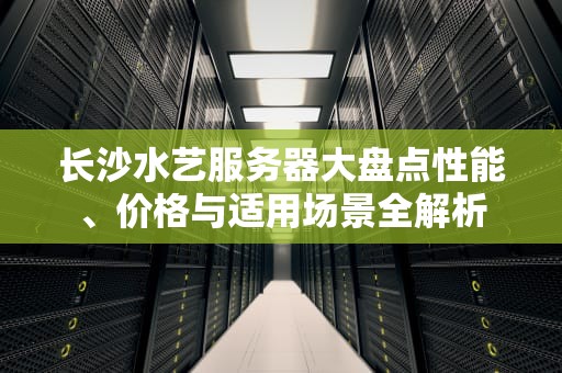 长沙水艺服务器大盘点性能、价格与适用场景全解析