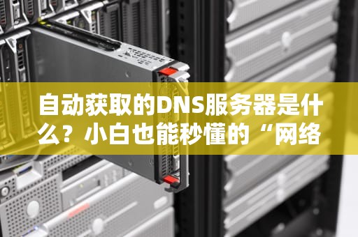 自动获取的DNS服务器是什么？小白也能秒懂的“网络导航仪”指南！