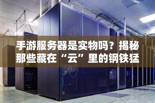 手游服务器是实物吗？揭秘那些藏在“云”里的钢铁猛兽！