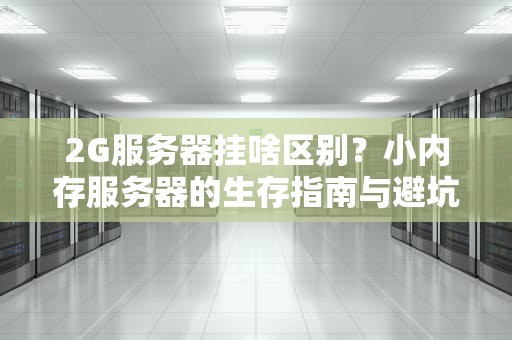 2G服务器挂啥区别？小内存服务器的生存指南与避坑宝典！