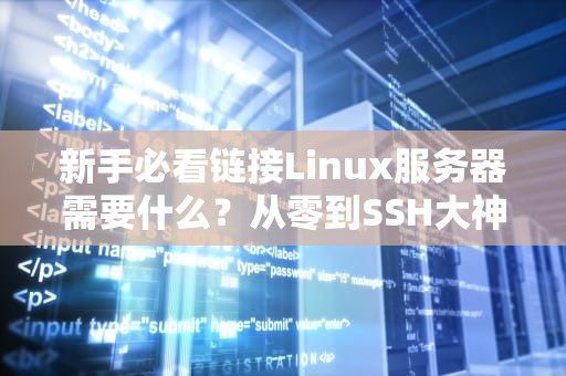 新手必看链接Linux服务器需要什么？从零到SSH大神的保姆级指南（附超实用工具推荐）