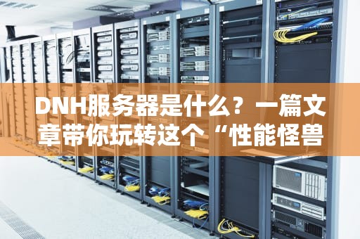 DNH服务器是什么？一篇文章带你玩转这个“性能怪兽”！