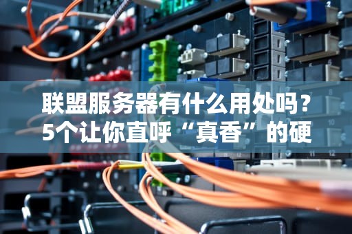 联盟服务器有什么用处吗？5个让你直呼“真香”的硬核理由！