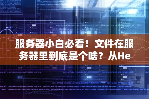 服务器小白必看！文件在服务器里到底是个啥？从HelloWorld到百万并发全解析