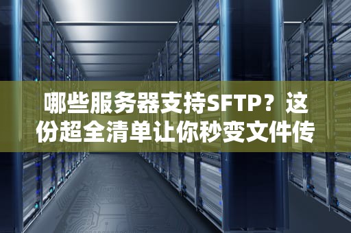 哪些服务器支持SFTP？这份超全清单让你秒变文件传输大神！