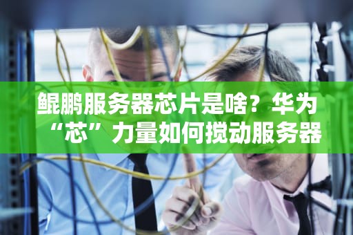 鲲鹏服务器芯片是啥？华为“芯”力量如何搅动服务器市场？