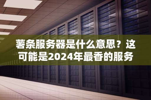 薯条服务器是什么意思？这可能是2024年最香的服务器梗！