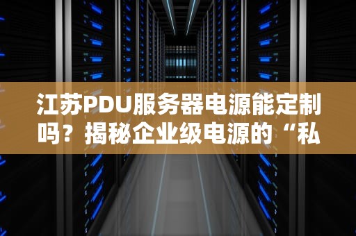 江苏PDU服务器电源能定制吗？揭秘企业级电源的“私人订制”骚操作！
