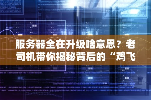 服务器全在升级啥意思？老司机带你揭秘背后的“鸡飞狗跳”