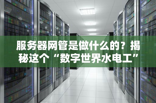 服务器网管是做什么的？揭秘这个“数字世界水电工”的日常！