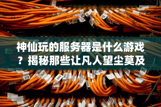 神仙玩的服务器是什么游戏？揭秘那些让凡人望尘莫及的顶级游戏体验！