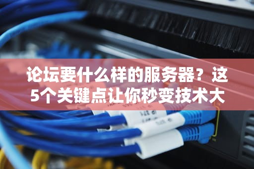 论坛要什么样的服务器？这5个关键点让你秒变技术大神！