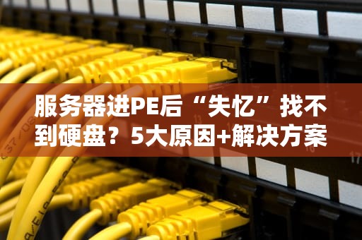 服务器进PE后“失忆”找不到硬盘？5大原因+解决方案全解析！