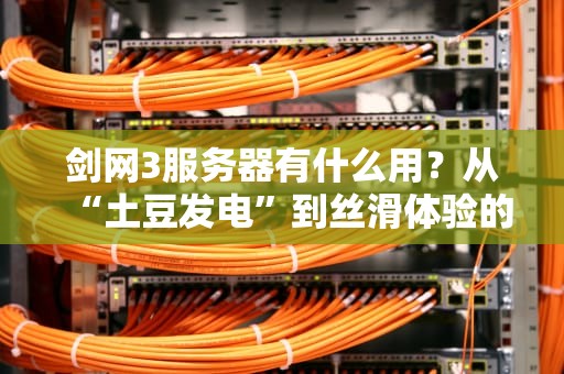 剑网3服务器有什么用？从“土豆发电”到丝滑体验的硬核科普！