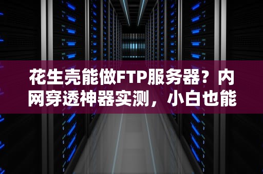 花生壳能做FTP服务器？内网穿透神器实测，小白也能玩转！