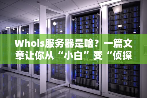 Whois服务器是啥？一篇文章让你从“小白”变“侦探”！（附实用技巧）