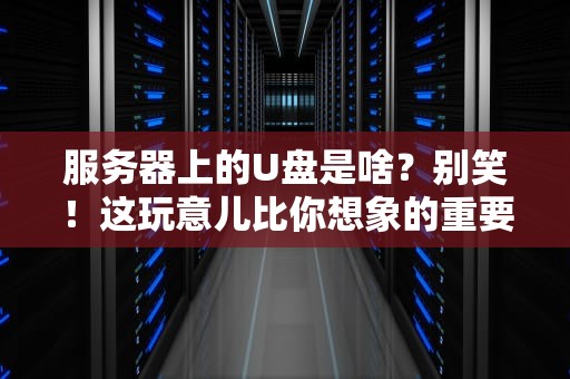 服务器上的U盘是啥？别笑！这玩意儿比你想象的重要多了！