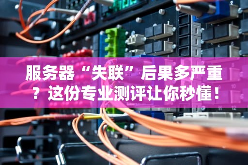 服务器“失联”后果多严重？这份专业测评让你秒懂！