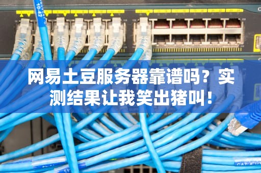 网易土豆服务器靠谱吗？实测结果让我笑出猪叫！