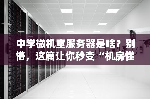 中学微机室服务器是啥？别懵，这篇让你秒变“机房懂王”！