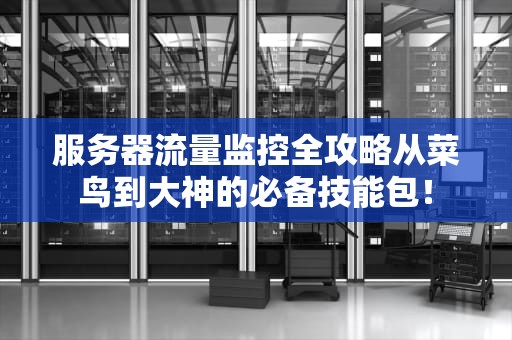 服务器流量监控全攻略从菜鸟到大神的必备技能包！