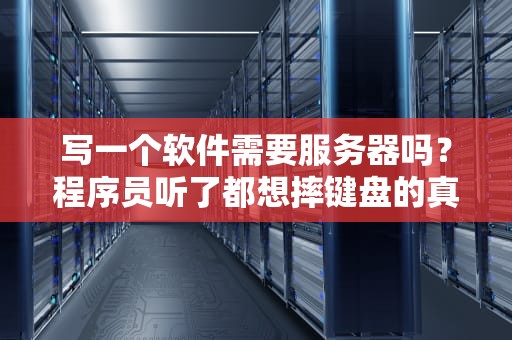 写一个软件需要服务器吗？程序员听了都想摔键盘的真相！