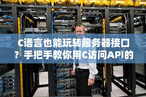 C语言也能玩转服务器接口？手把手教你用C访问API的骚操作！