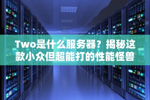 Two是什么服务器？揭秘这款小众但超能打的性能怪兽！
