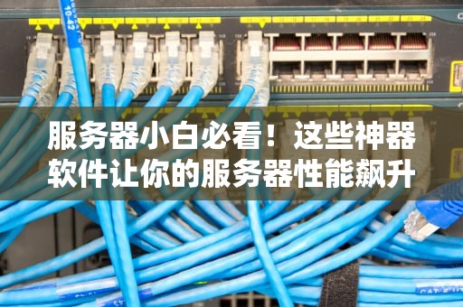 服务器小白必看！这些神器软件让你的服务器性能飙升100%