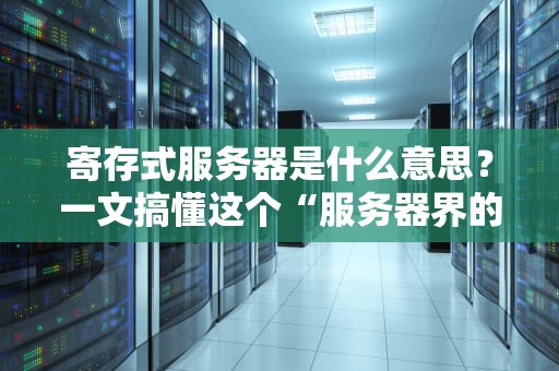 寄存式服务器是什么意思？一文搞懂这个“服务器界的代客泊车”