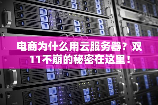 电商为什么用云服务器？双11不崩的秘密在这里！