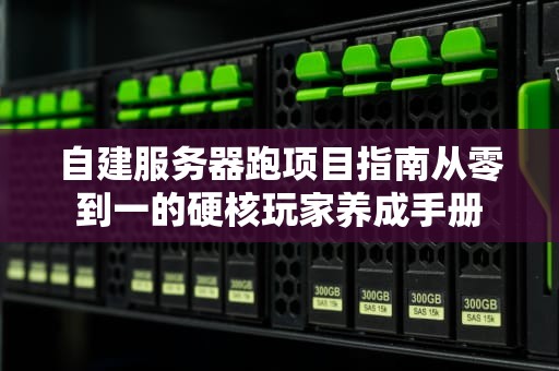 自建服务器跑项目指南从零到一的硬核玩家养成手册