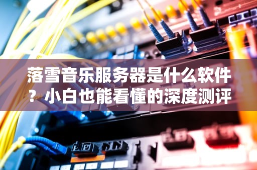 落雪音乐服务器是什么软件？小白也能看懂的深度测评+使用指南