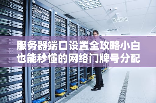 服务器端口设置全攻略小白也能秒懂的网络门牌号分配指南