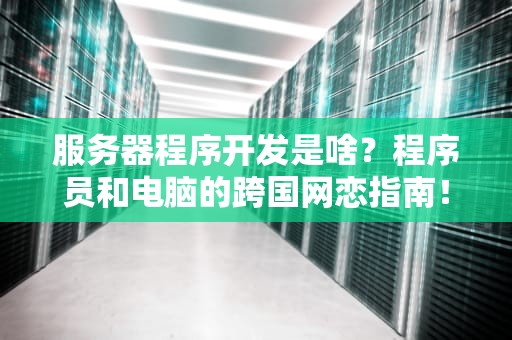 服务器程序开发是啥？程序员和电脑的跨国网恋指南！