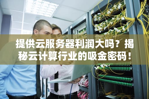 提供云服务器利润大吗？揭秘云计算行业的吸金密码！