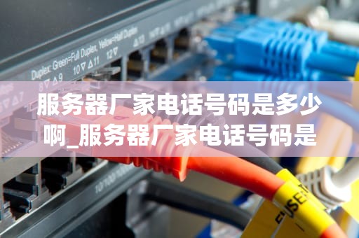 服务器厂家电话号码是多少啊_服务器厂家电话号码是多少啊怎么查_服务器厂家电话号码及其相关信息