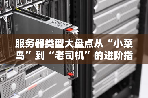 服务器类型大盘点从“小菜鸟”到“老司机”的进阶指南