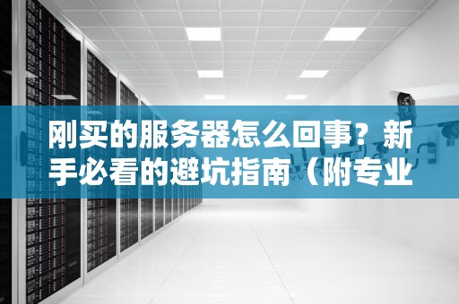 刚买的服务器怎么回事？新手必看的避坑指南（附专业测评）