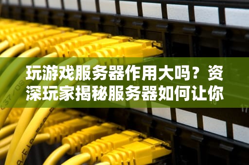 玩游戏服务器作用大吗？资深玩家揭秘服务器如何让你告别460！