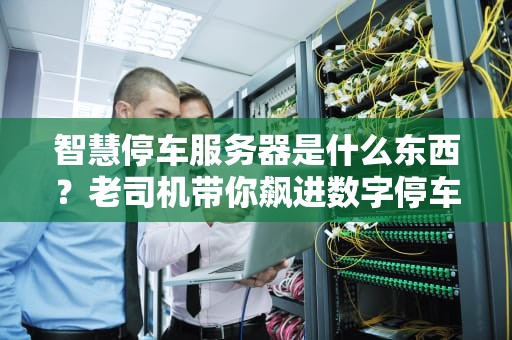智慧停车服务器是什么东西？老司机带你飙进数字停车场！