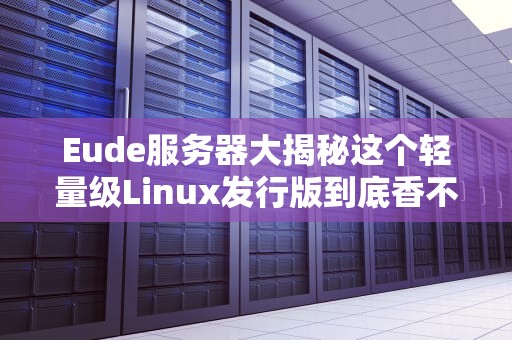 Eude服务器大揭秘这个轻量级Linux发行版到底香不香？