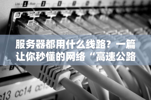 服务器都用什么线路？一篇让你秒懂的网络“高速公路”指南