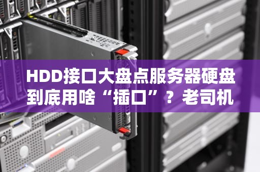 HDD接口大盘点服务器硬盘到底用啥“插口”？老司机带你飙车选购不翻车！