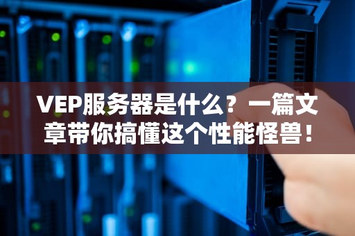 VEP服务器是什么？一篇文章带你搞懂这个性能怪兽！
