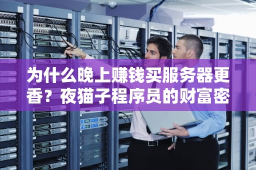 为什么晚上赚钱买服务器更香？夜猫子程序员的财富密码大揭秘！