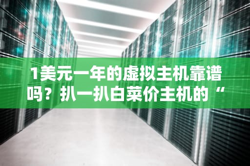 1美元一年的虚拟主机靠谱吗？扒一扒白菜价主机的“内裤”真相！