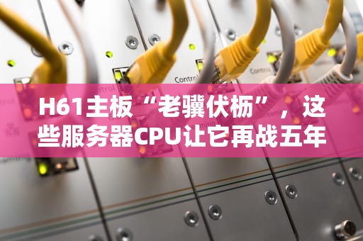 H61主板“老骥伏枥”，这些服务器CPU让它再战五年！