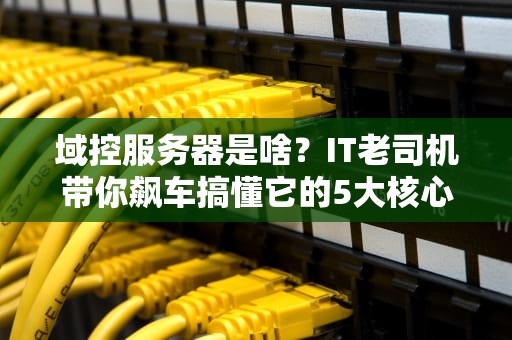 域控服务器是啥？IT老司机带你飙车搞懂它的5大核心任务！